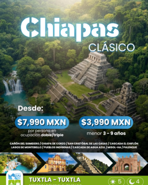 Chiapas Básico