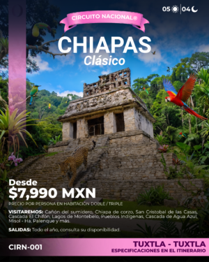 Chiapas Básico