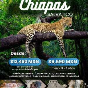 Chiapas Salvático