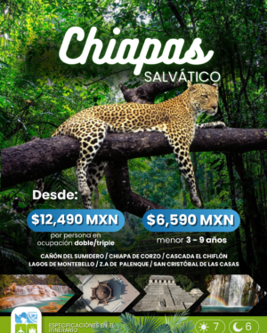 Chiapas Salvático