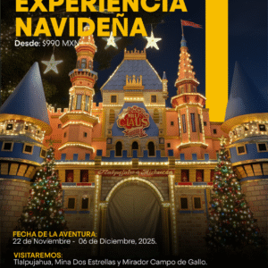 EXPERIENCIA NAVIDEÑA / 06 de Diciembre