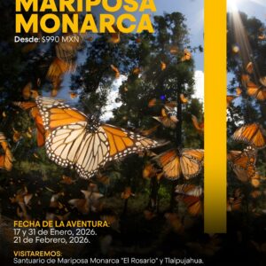 MARIPOSA MONARCA 2026 / 17 y 31 de Enero - 21 de Febrero